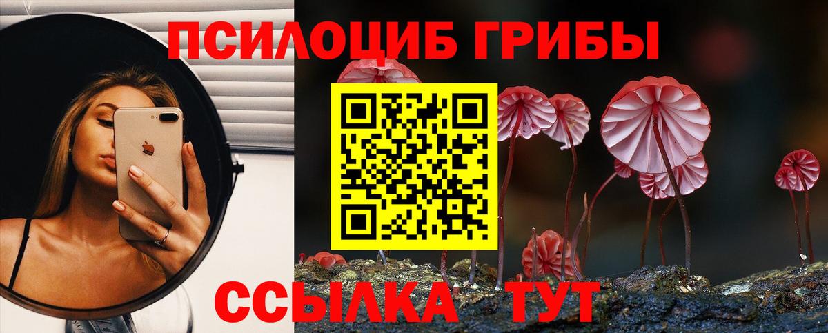 Псилоцибиновые грибы мицелий Майский
